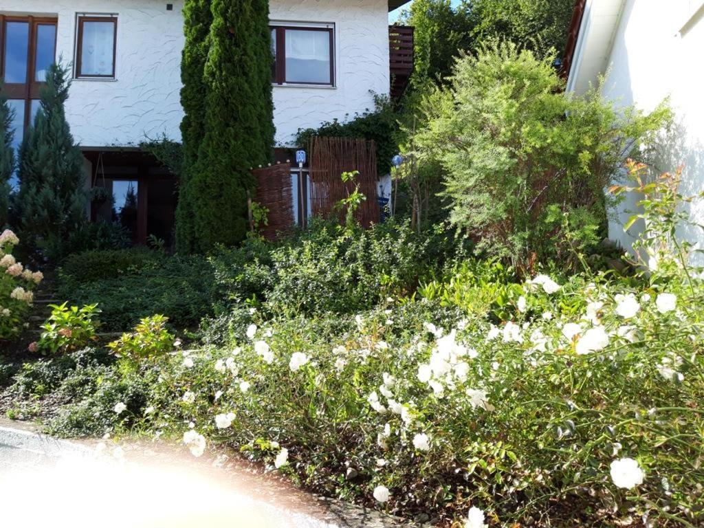 Ferienwohnung Rosa Muller Wangen im Allgaeu Ngoại thất bức ảnh
